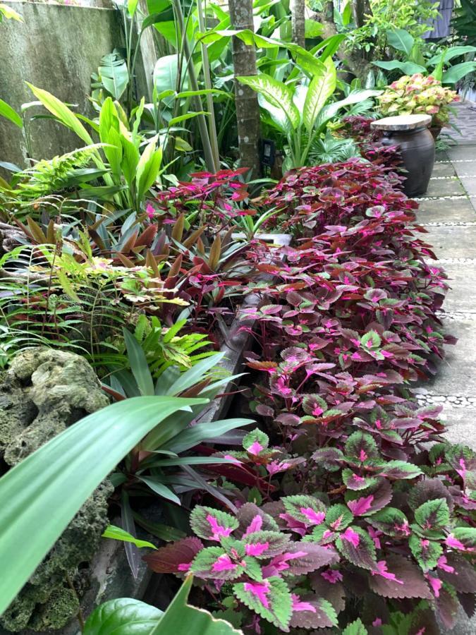 Sunny Garden Homestay Hoi An Esterno foto
