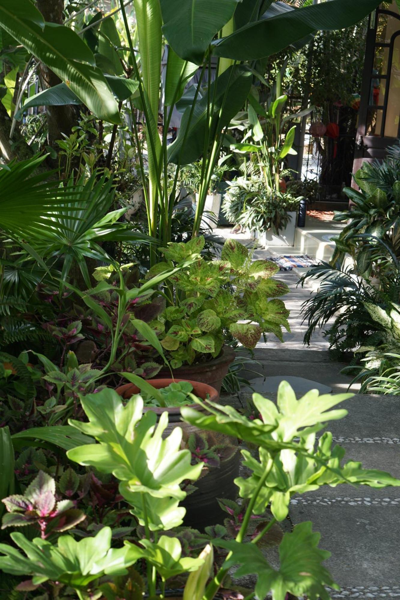 Sunny Garden Homestay Hoi An Esterno foto